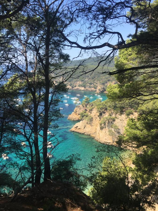 Studio Cosy Proche Mer 滨海圣西尔 外观 照片