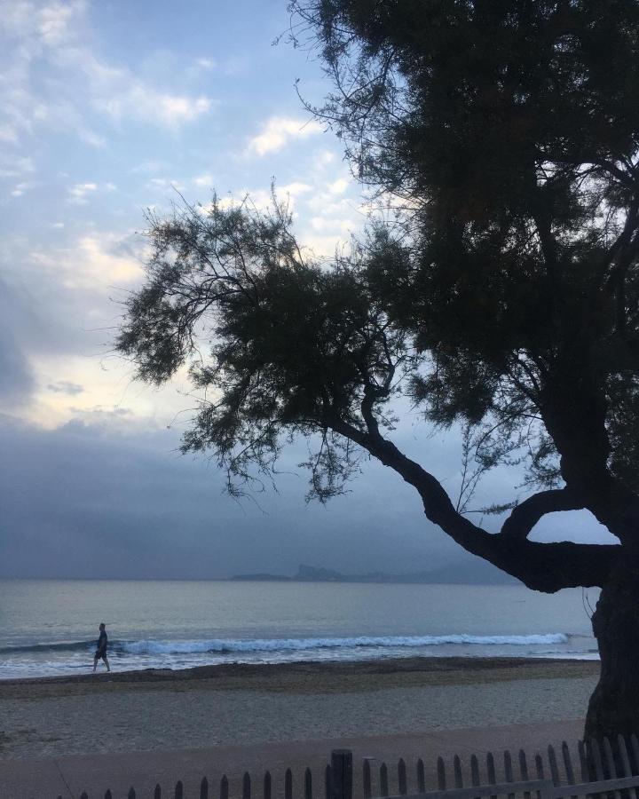 Studio Cosy Proche Mer 滨海圣西尔 外观 照片