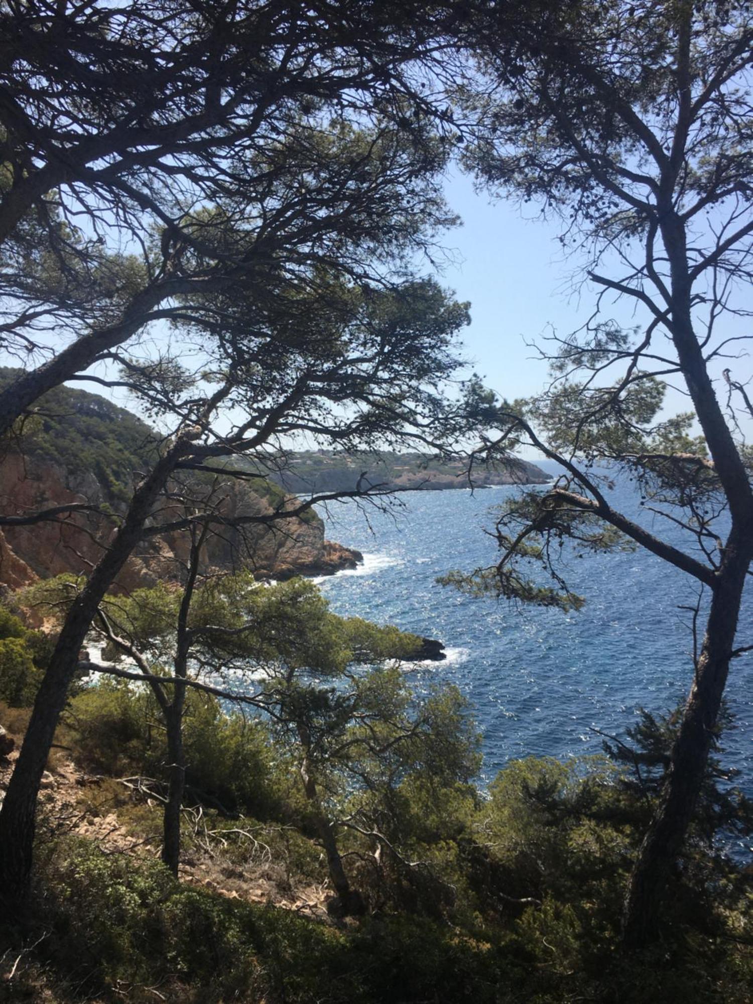 Studio Cosy Proche Mer 滨海圣西尔 外观 照片