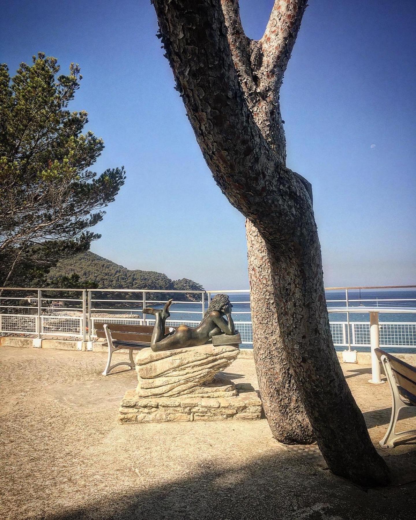 Studio Cosy Proche Mer 滨海圣西尔 外观 照片